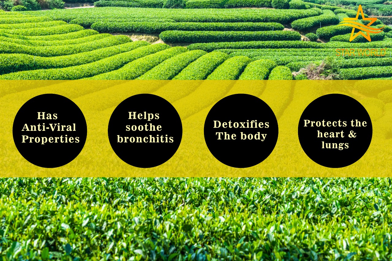 BENEFITS OF WINE TEA